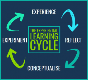 A diagram of the Experiential Learning Cycle with arrows forming a circle. The steps are: Experience, Reflect, Conceptualise, and Experiment, with the cycles title in the center.