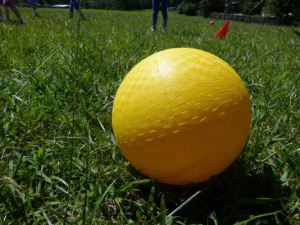 A bright yellow rubber ball sits on green grass in a sunlit outdoor field, with children and red cones visible in the blurred background.