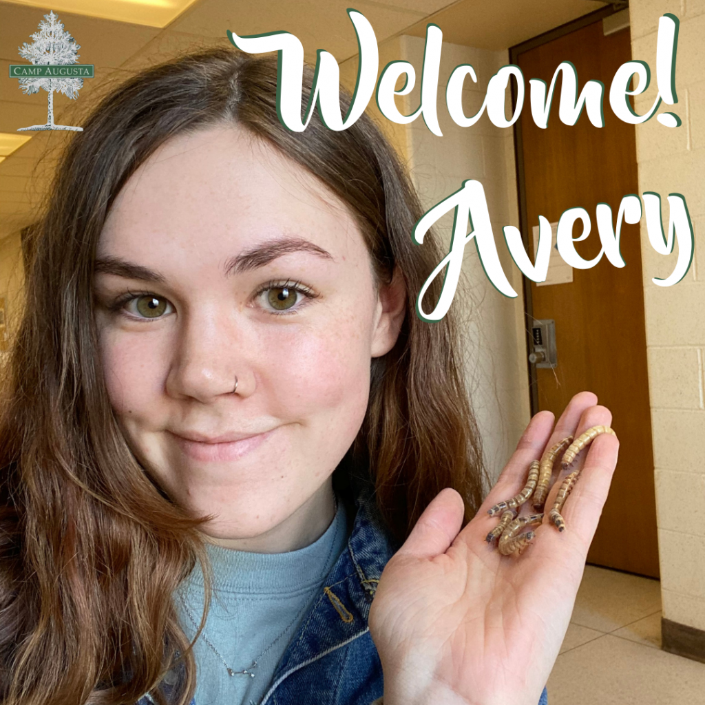 A young person with long brown hair smiles while holding a small snake. Text reads Welcome! Avery in large script, and a Camp Augusta logo appears in the top left corner.