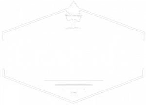 Hexagonal logo with the words Camp Life in large script, a tree graphic at the top, and smaller text and lines beneath the main words. The design has an outdoor, camping theme.