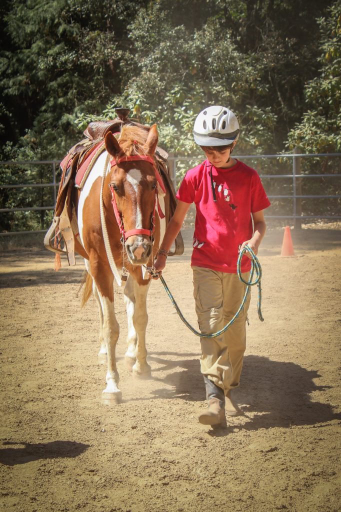Learn Horseback Riding Summer Camp