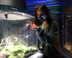A person wearing a face mask and green cardigan points at a glass terrarium with plants inside, holding a phone in their other hand. The setting appears to be indoors with colorful, wavy background lighting.