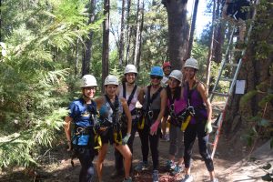 A group of seven women wearing helmets and harnesses stand together smiling in a forest, ready for a zip lining or ropes course adventure. Sunlight filters through the trees and a ladder leans against a tree in the background.