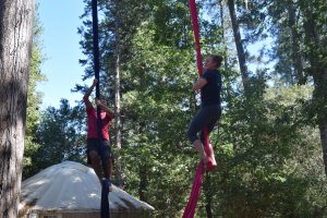 Two people practice aerial silks outdoors among tall trees, each climbing a separate fabric. A round, tent-like structure is visible in the background under a sunny sky.