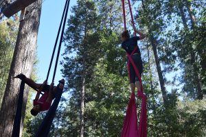Two people perform aerial silks in a forest. One hangs upside down on black silks, while the other stands high on pink silks. Tall trees and sunlight fill the background.