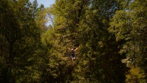 A person wearing a helmet and harness is ziplining through a dense, green forest, surrounded by tall trees under a clear blue sky.