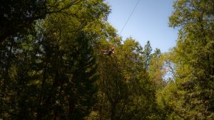 A person rides a zipline high above the ground, surrounded by tall, green trees and clear blue sky on a sunny day.