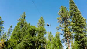 A person ziplining high above green trees on a sunny day, with a clear blue sky in the background.