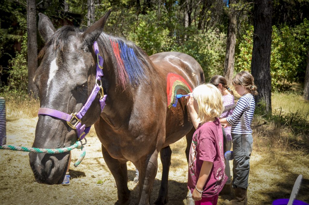 Several children are painting colorful designs, including a rainbow, on the side of a dark brown horse standing outdoors in a sunny, wooded area. The horse wears a purple halter and looks calm.