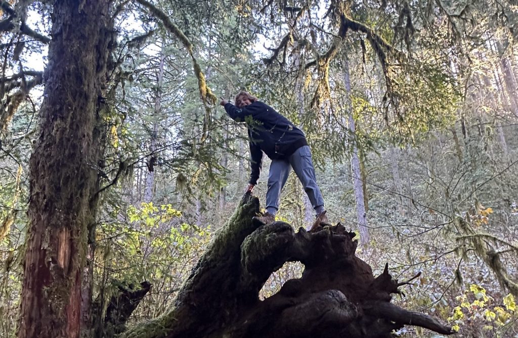 A person in a dark jacket and jeans stands on top of a large mossy fallen tree in a forest, surrounded by tall trees and greenery in a sunlit clearing.