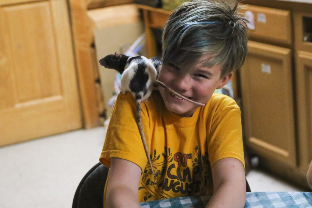 A smiling child with short, blue-tinted hair and a yellow shirt sits at a table while a black and white rat climbs on their shoulder, capturing the playful spirit often found in family camp activities. Wooden cabinets and a door fill the background.