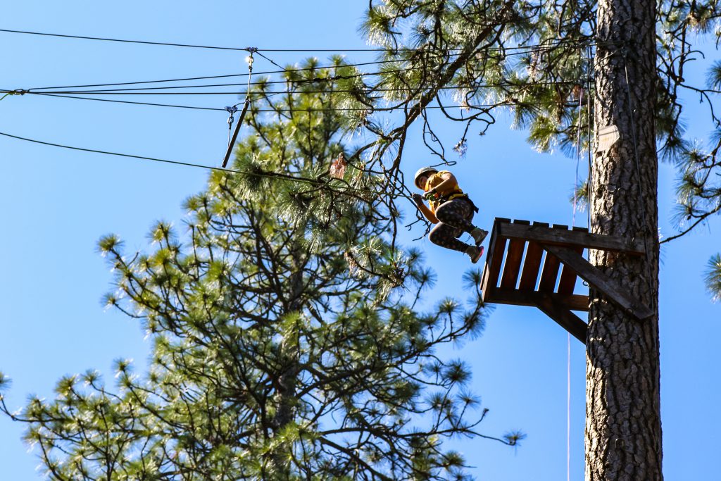 A person wearing a helmet and harness prepares to cross a high ropes course among tall pine trees, standing on a wooden platform attached to a tree under a clear blue sky.