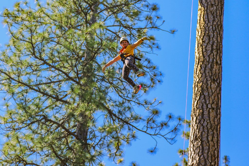 A person wearing a helmet and harness is ziplining through the air near tall pine trees against a bright blue sky.