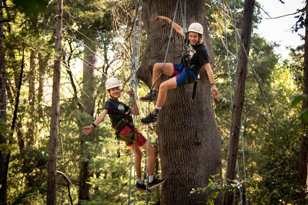 Two children wearing helmets and harnesses are smiling and suspended by ropes while tree climbing in a forest, with sunlight filtering through the trees.