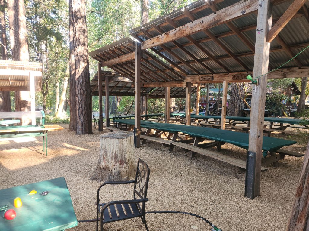 Covered outdoor picnic area with long green tables and benches under a wooden shelter, surrounded by tall trees. A tree stump, metal chair, and table with toys sit in the foreground. Sunlight filters through the scene.