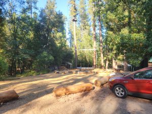 A forest clearing with log benches arranged in a circle around a central fire pit, surrounded by tall trees. A red car is parked in the foreground on a dirt area. Sunlight filters through the trees.