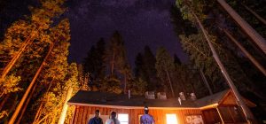Camp staff stand in front of office at night, with tall trees and the milky way above.