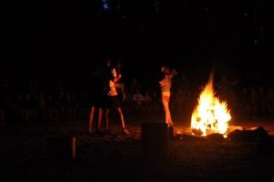 fire pehonix