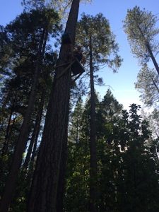 gravity zip